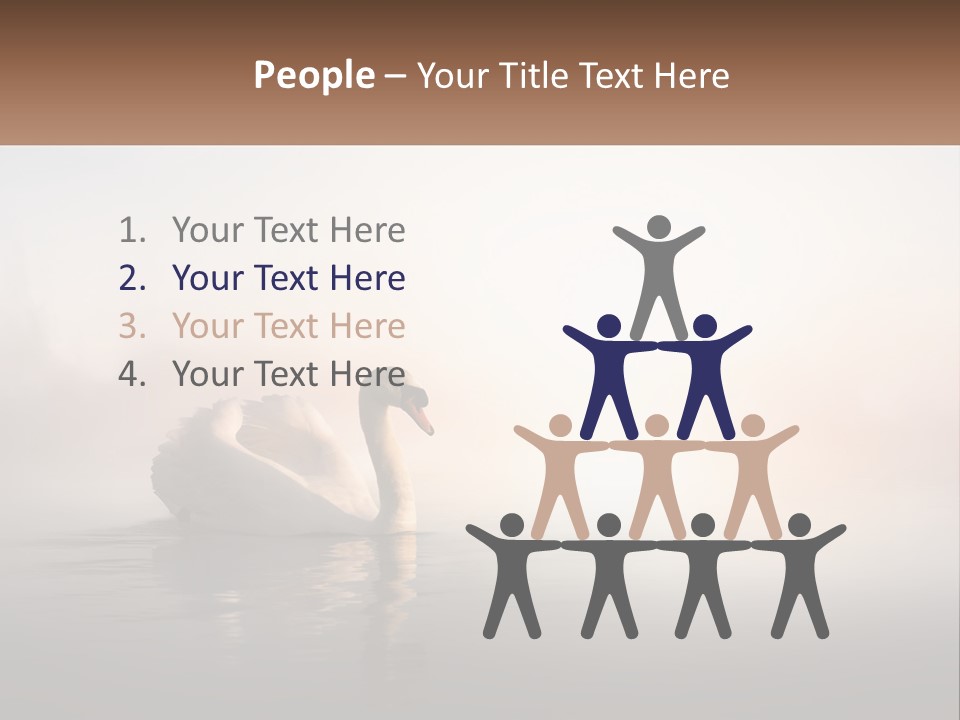 A White Swan Floating On Top Of A Body Of Water PowerPoint Template
