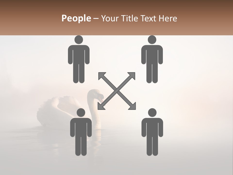 A White Swan Floating On Top Of A Body Of Water PowerPoint Template