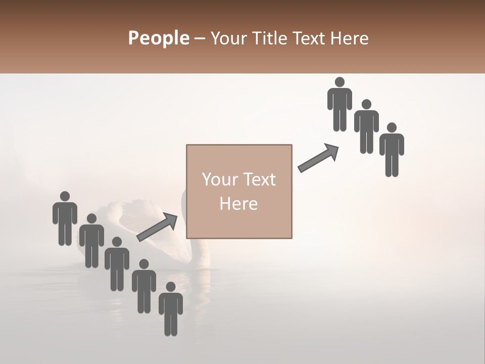 A White Swan Floating On Top Of A Body Of Water PowerPoint Template