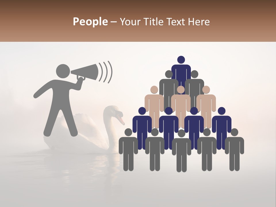 A White Swan Floating On Top Of A Body Of Water PowerPoint Template