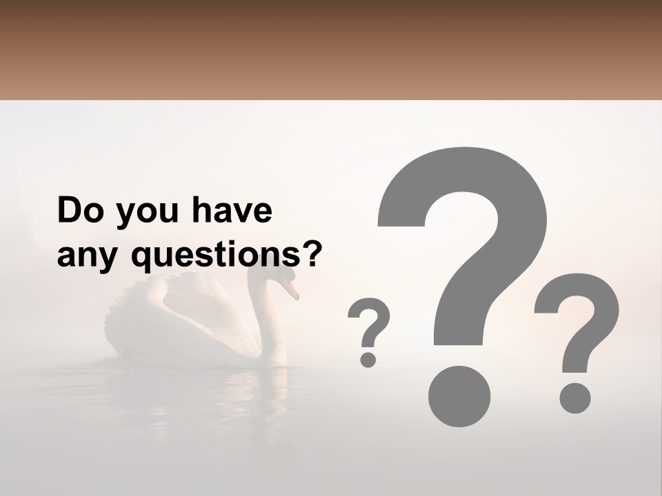 A White Swan Floating On Top Of A Body Of Water PowerPoint Template