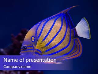 A Blue And Yellow Fish On A Blue Background PowerPoint Template