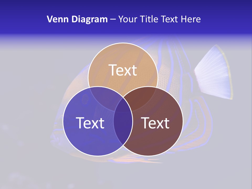 A Blue And Yellow Fish On A Blue Background PowerPoint Template