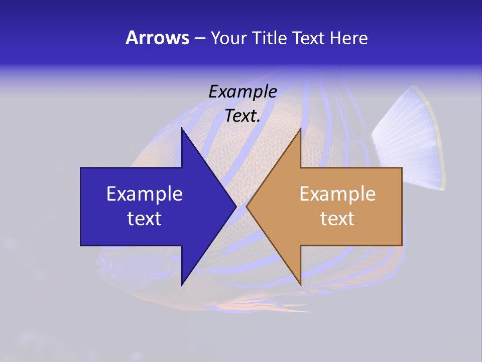 A Blue And Yellow Fish On A Blue Background PowerPoint Template