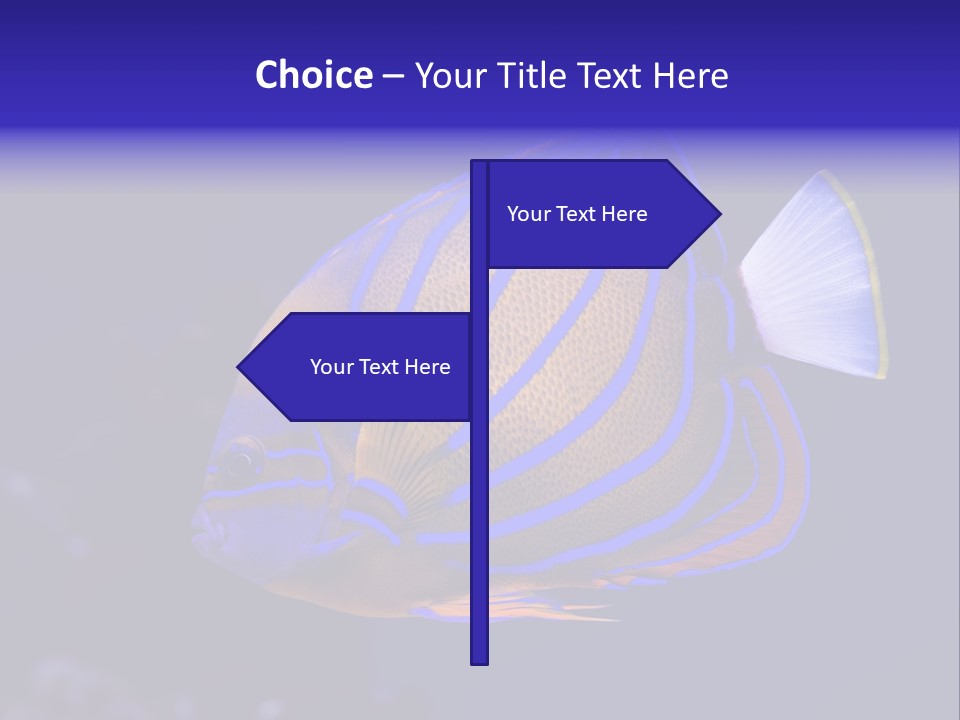 A Blue And Yellow Fish On A Blue Background PowerPoint Template