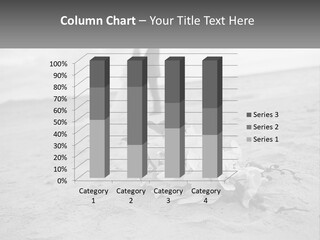A Couple Standing On A Beach Next To A Bouquet Of Flowers PowerPoint Template