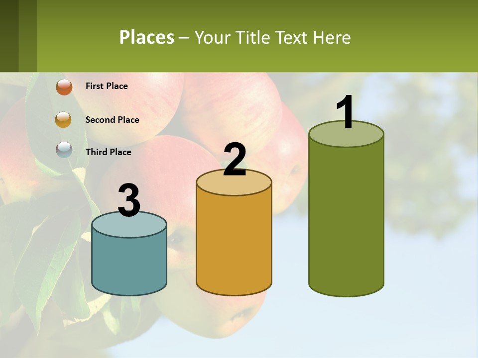 A Bunch Of Apples Hanging From A Tree PowerPoint Template
