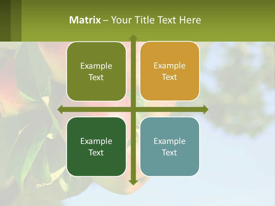 A Bunch Of Apples Hanging From A Tree PowerPoint Template