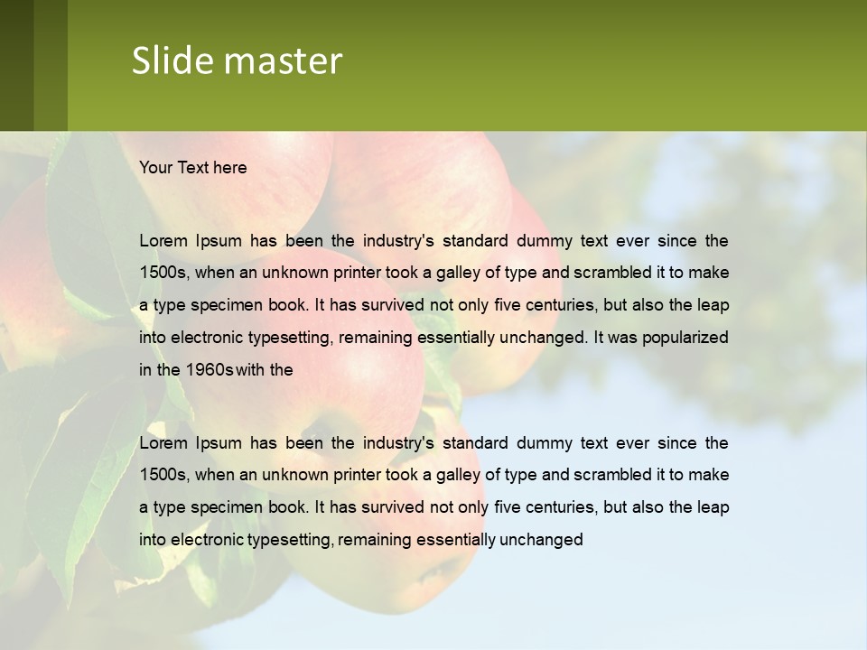 A Bunch Of Apples Hanging From A Tree PowerPoint Template