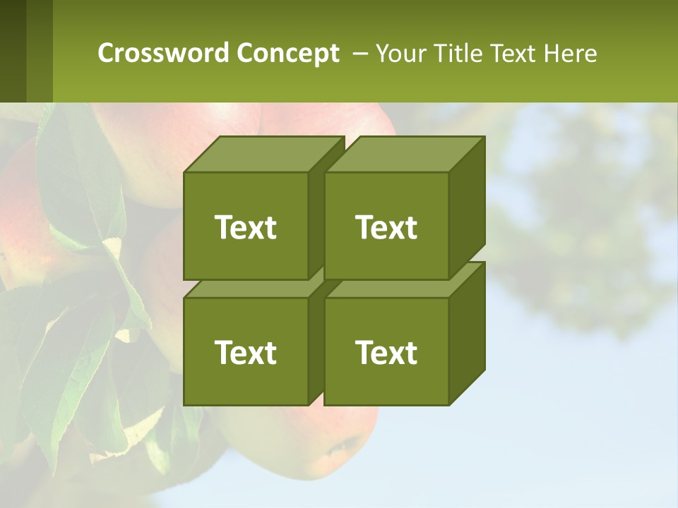 A Bunch Of Apples Hanging From A Tree PowerPoint Template