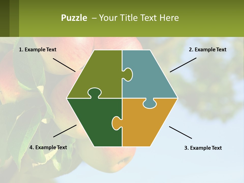 A Bunch Of Apples Hanging From A Tree PowerPoint Template