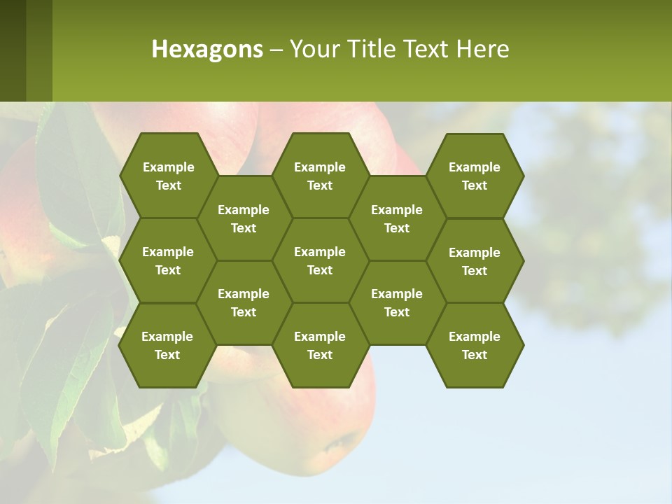 A Bunch Of Apples Hanging From A Tree PowerPoint Template