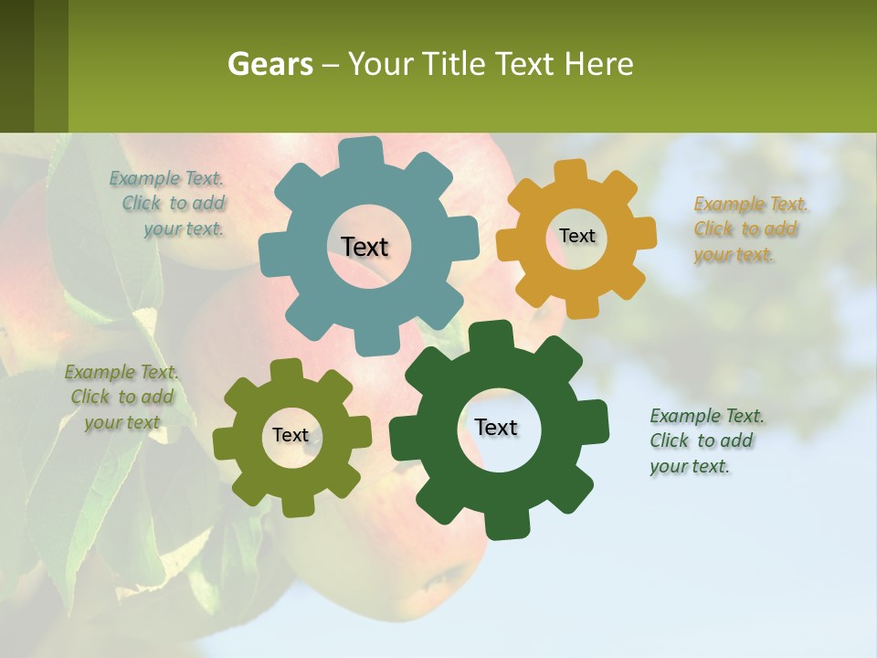 A Bunch Of Apples Hanging From A Tree PowerPoint Template