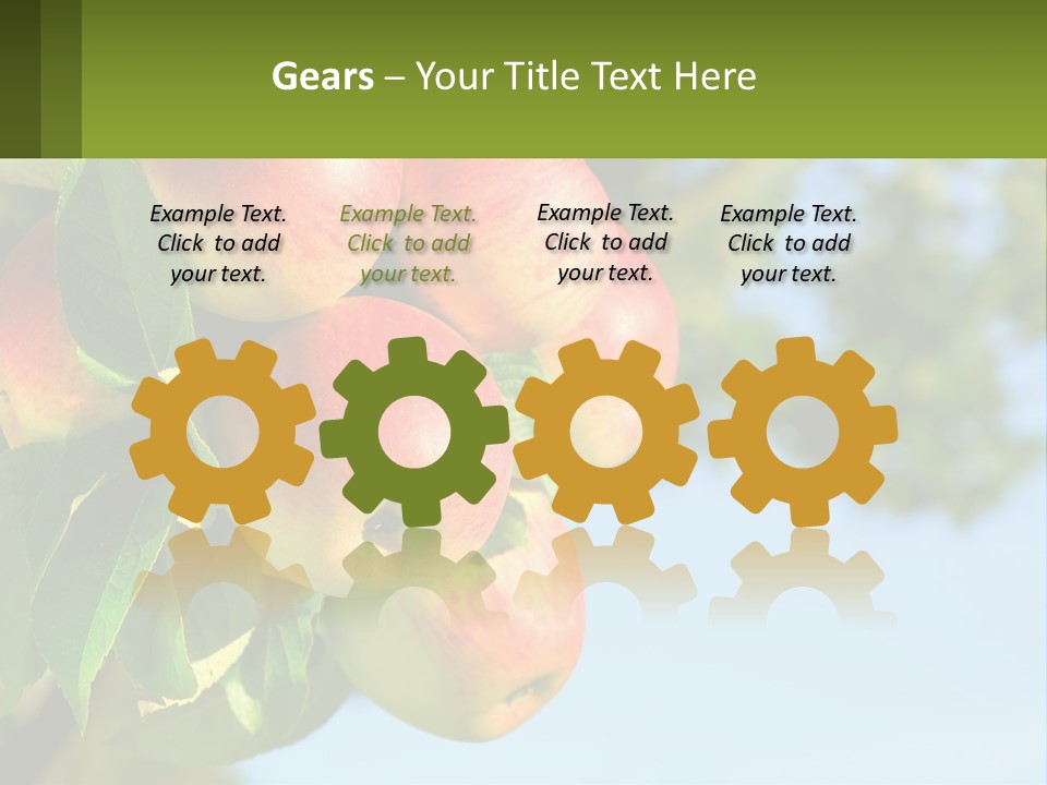 A Bunch Of Apples Hanging From A Tree PowerPoint Template