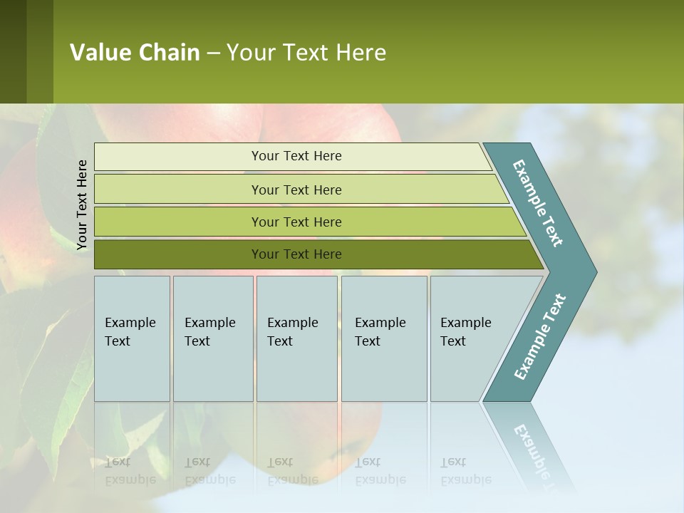 A Bunch Of Apples Hanging From A Tree PowerPoint Template