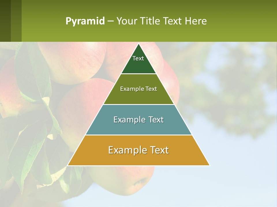 A Bunch Of Apples Hanging From A Tree PowerPoint Template