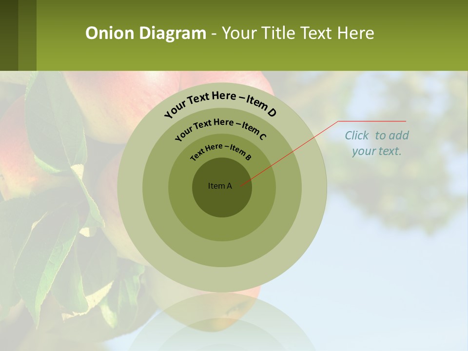 A Bunch Of Apples Hanging From A Tree PowerPoint Template
