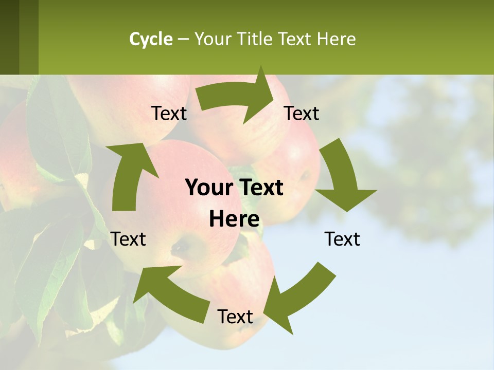A Bunch Of Apples Hanging From A Tree PowerPoint Template