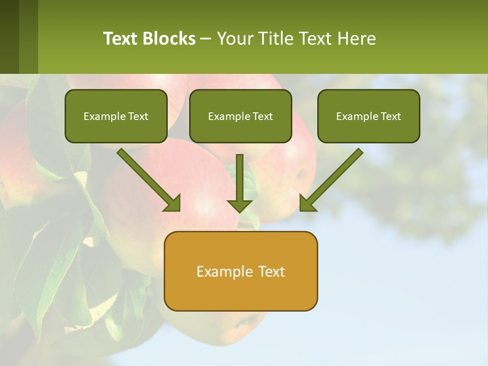 A Bunch Of Apples Hanging From A Tree PowerPoint Template