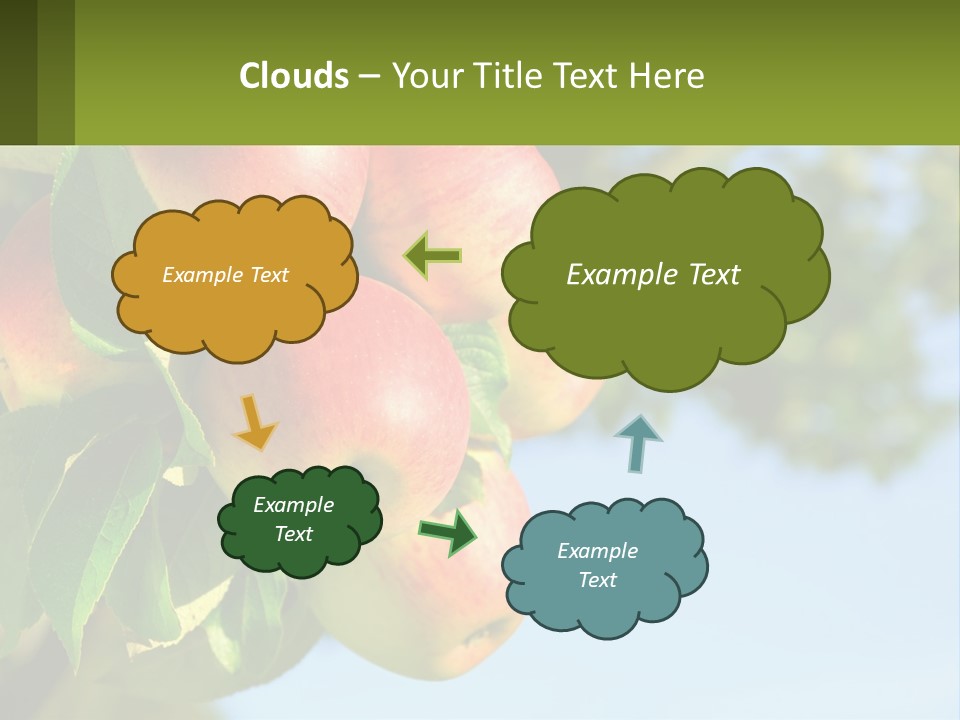 A Bunch Of Apples Hanging From A Tree PowerPoint Template