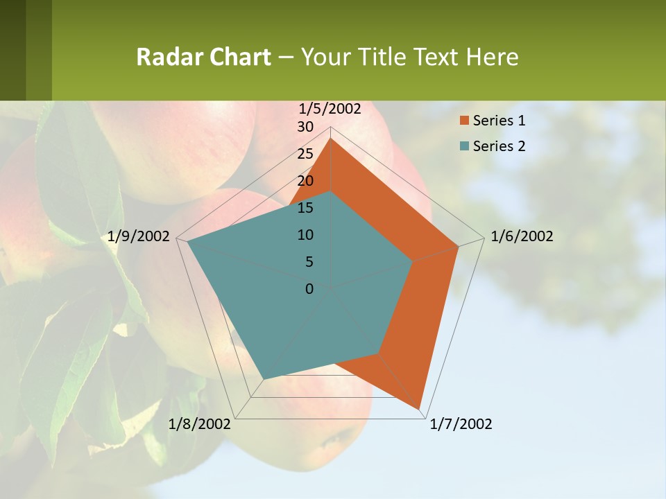 A Bunch Of Apples Hanging From A Tree PowerPoint Template