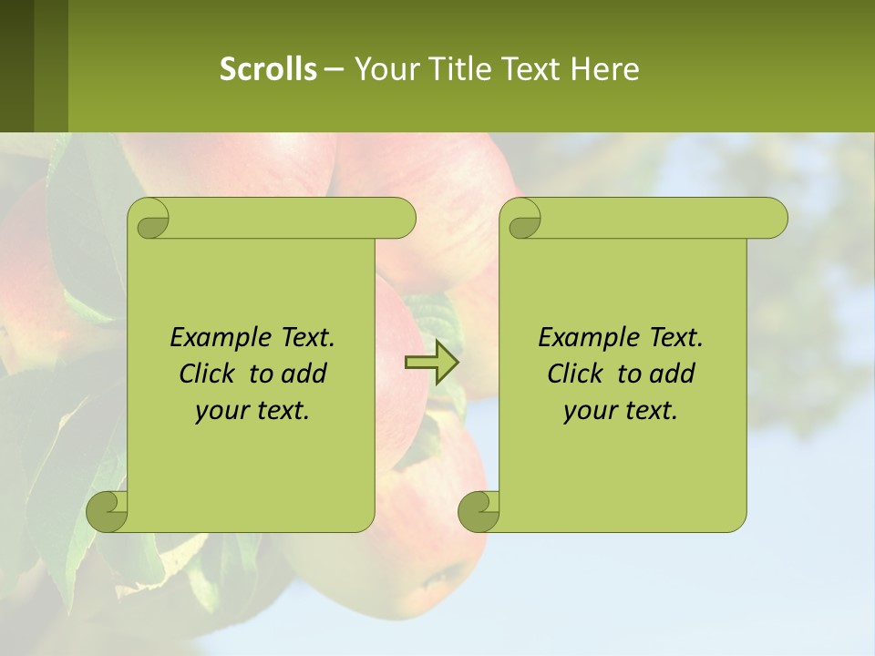 A Bunch Of Apples Hanging From A Tree PowerPoint Template