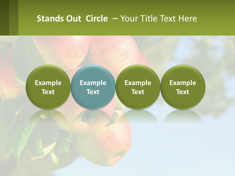A Bunch Of Apples Hanging From A Tree PowerPoint Template