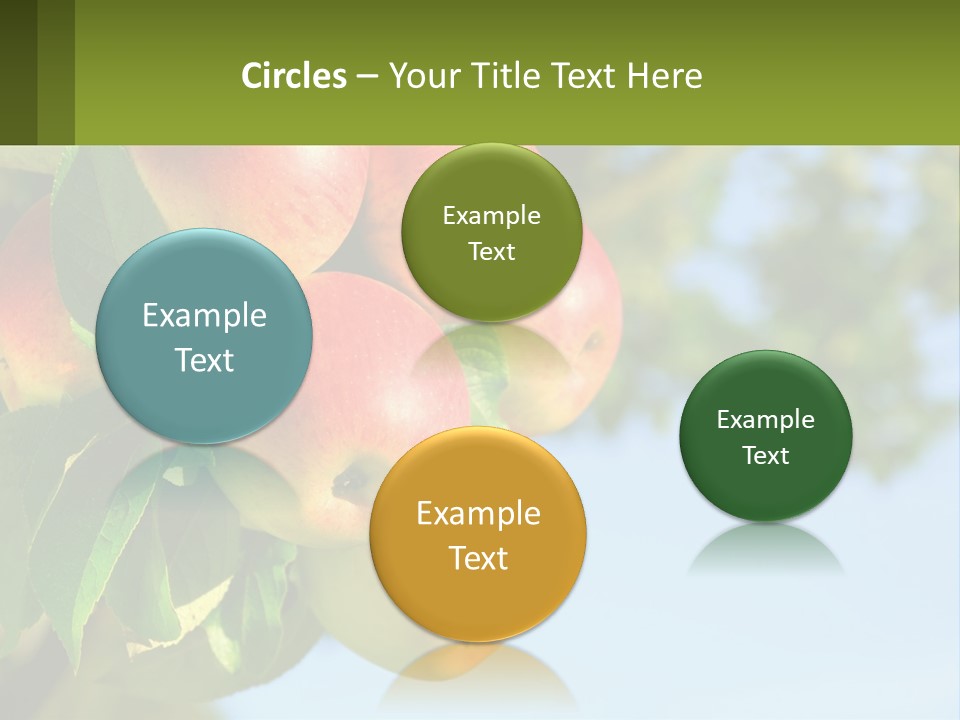 A Bunch Of Apples Hanging From A Tree PowerPoint Template