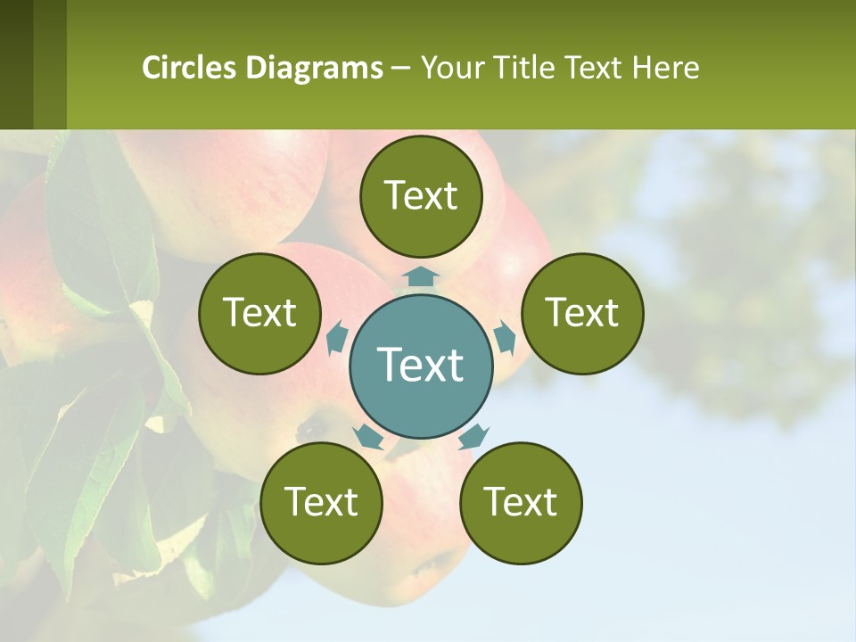A Bunch Of Apples Hanging From A Tree PowerPoint Template