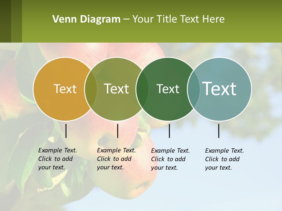 A Bunch Of Apples Hanging From A Tree PowerPoint Template