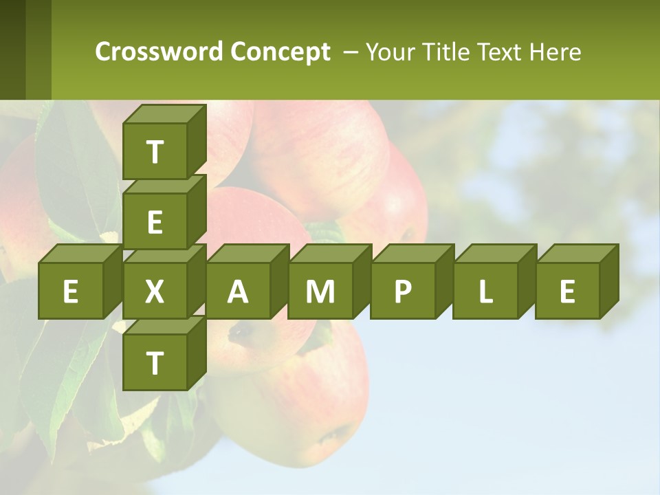 A Bunch Of Apples Hanging From A Tree PowerPoint Template