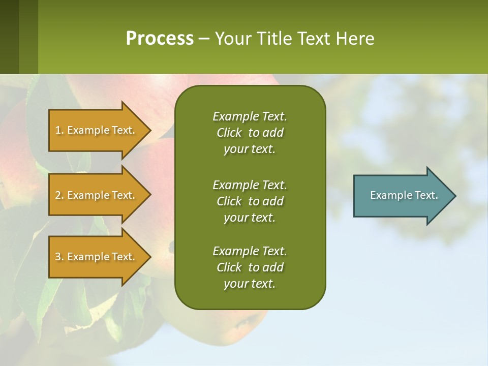 A Bunch Of Apples Hanging From A Tree PowerPoint Template