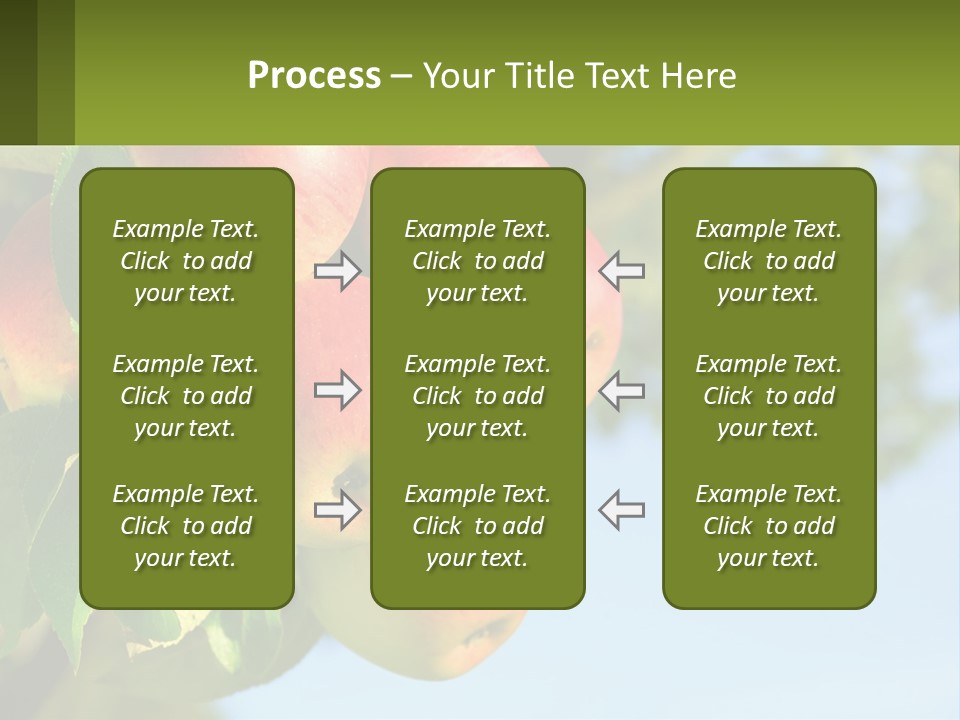 A Bunch Of Apples Hanging From A Tree PowerPoint Template