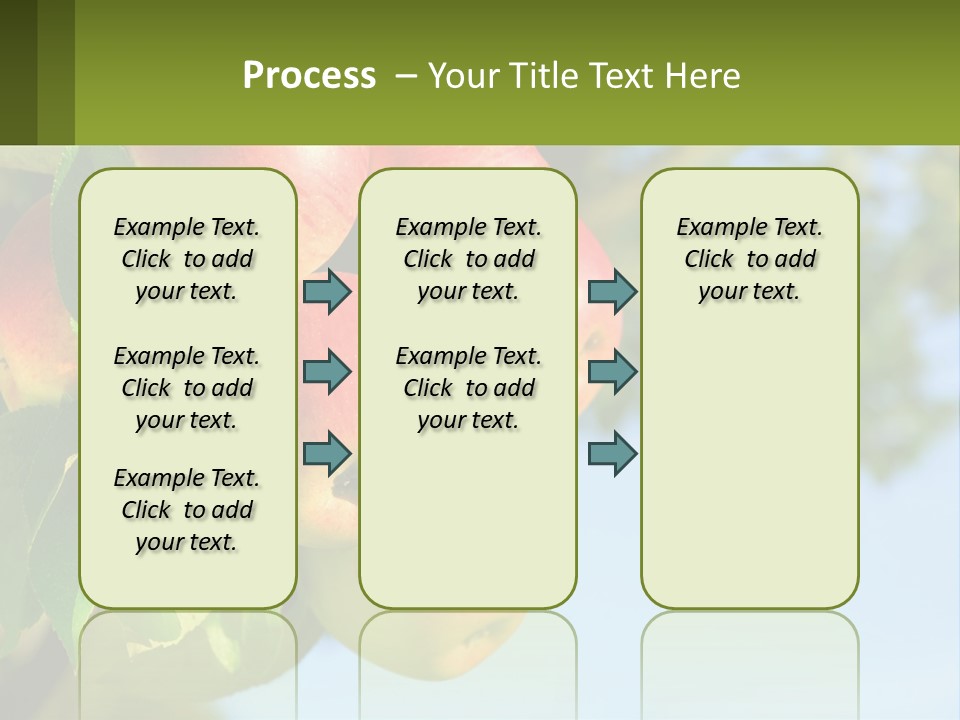 A Bunch Of Apples Hanging From A Tree PowerPoint Template