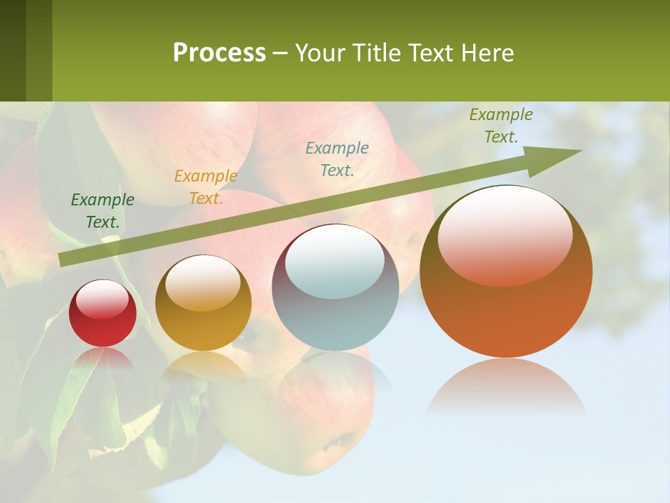 A Bunch Of Apples Hanging From A Tree PowerPoint Template