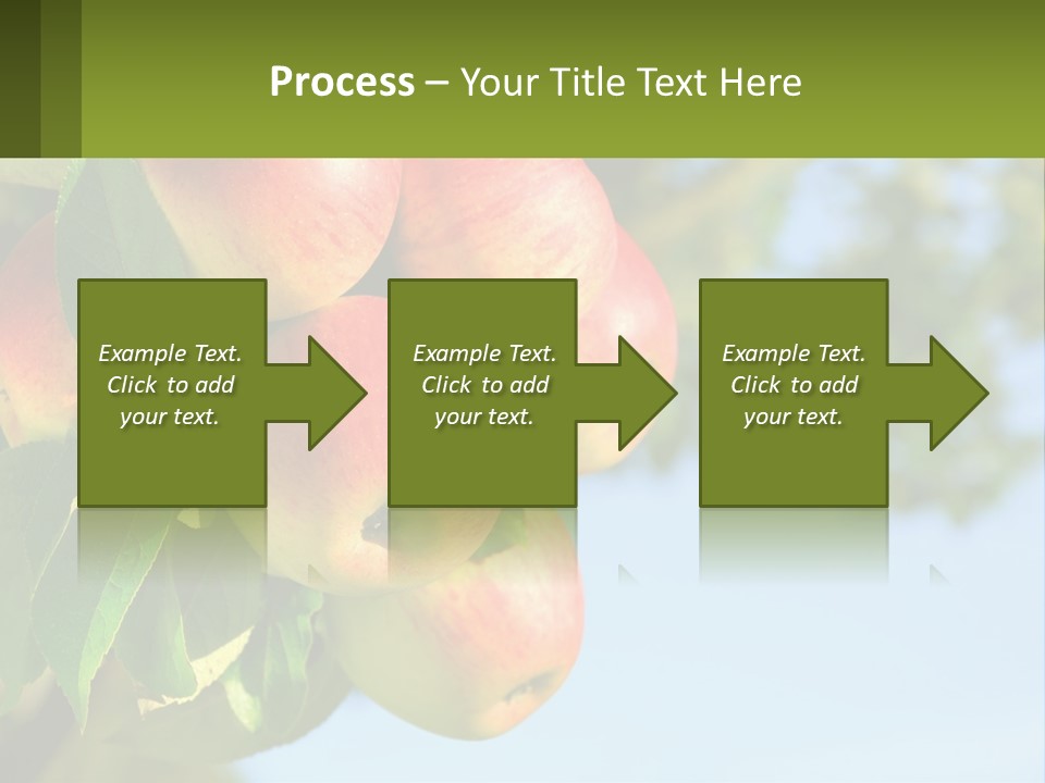 A Bunch Of Apples Hanging From A Tree PowerPoint Template