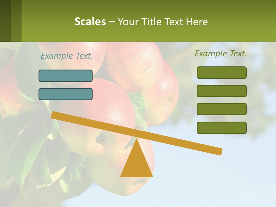 A Bunch Of Apples Hanging From A Tree PowerPoint Template