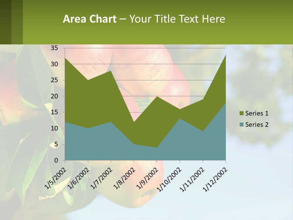 A Bunch Of Apples Hanging From A Tree PowerPoint Template