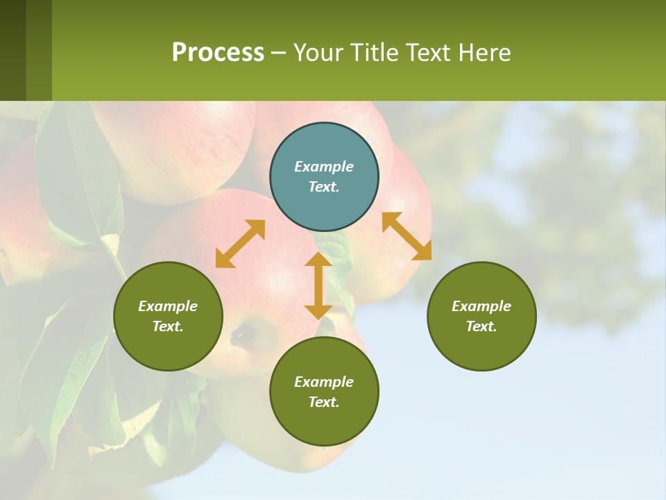 A Bunch Of Apples Hanging From A Tree PowerPoint Template
