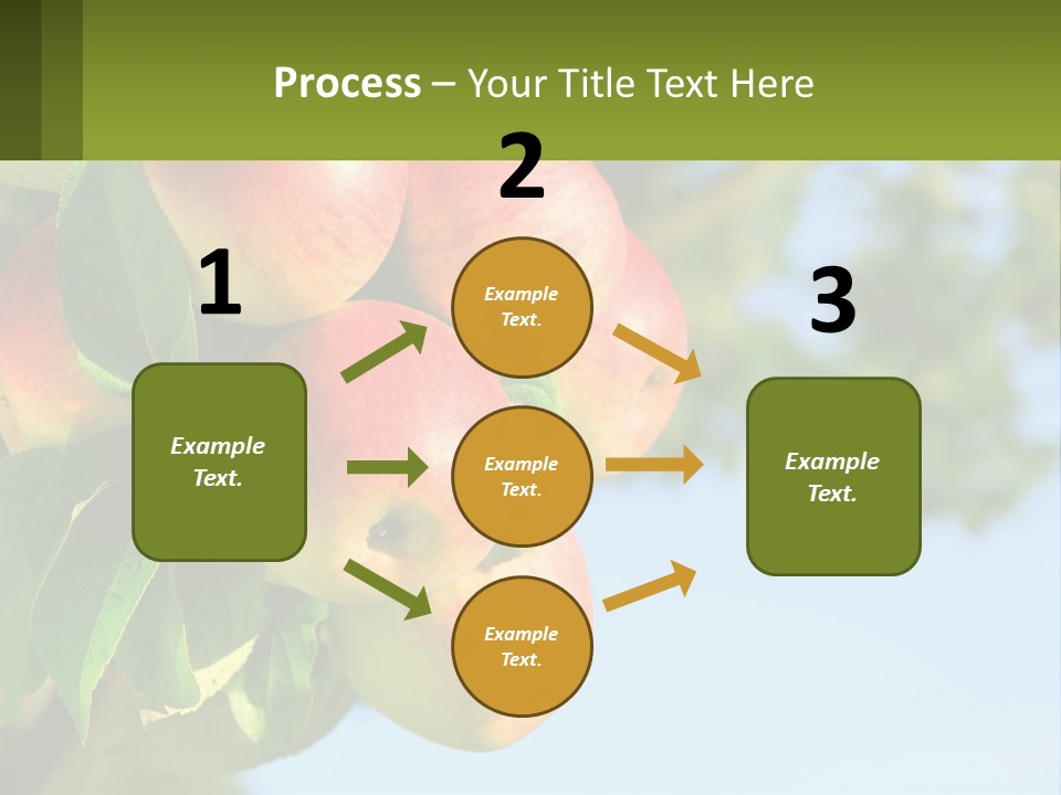 A Bunch Of Apples Hanging From A Tree PowerPoint Template