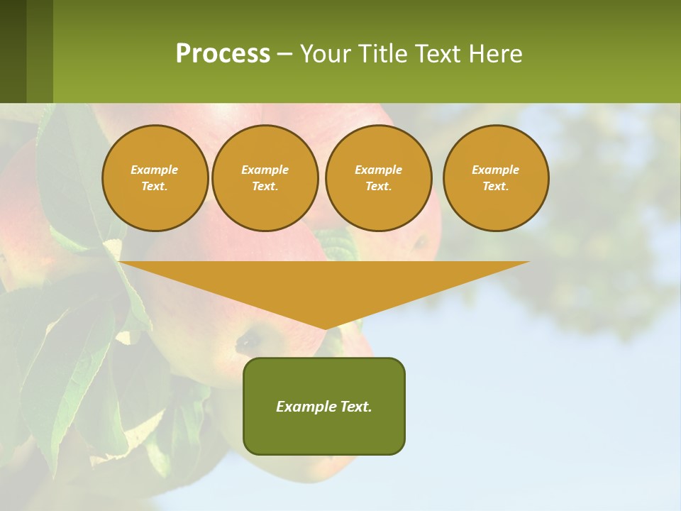 A Bunch Of Apples Hanging From A Tree PowerPoint Template