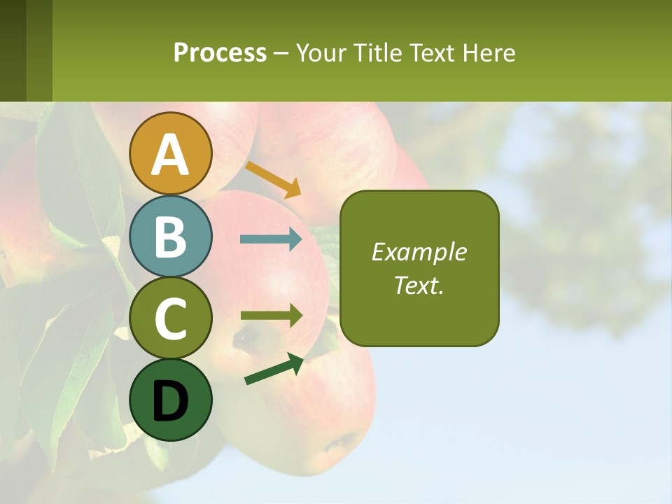 A Bunch Of Apples Hanging From A Tree PowerPoint Template