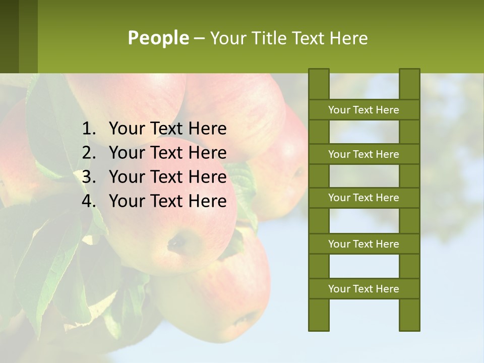 A Bunch Of Apples Hanging From A Tree PowerPoint Template