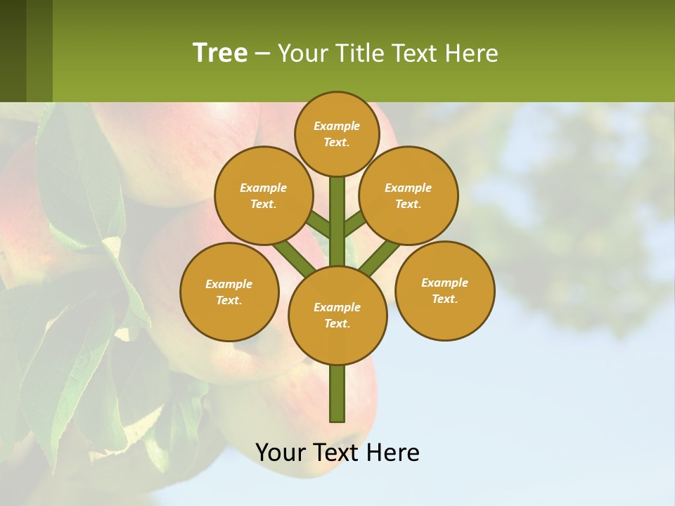 A Bunch Of Apples Hanging From A Tree PowerPoint Template