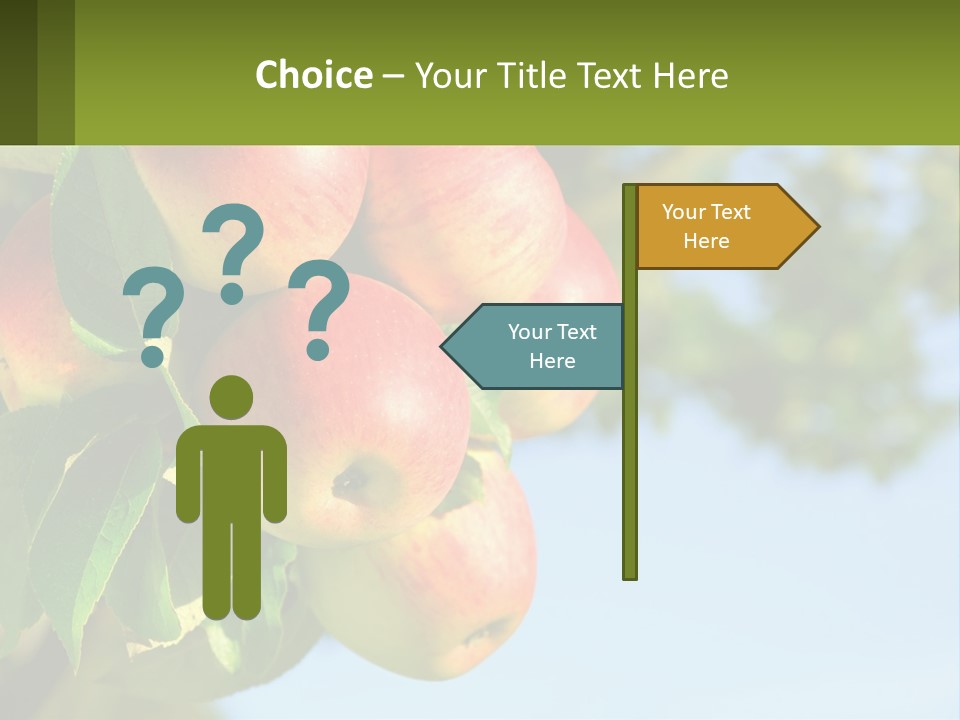 A Bunch Of Apples Hanging From A Tree PowerPoint Template