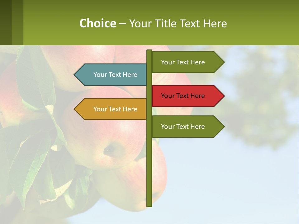 A Bunch Of Apples Hanging From A Tree PowerPoint Template