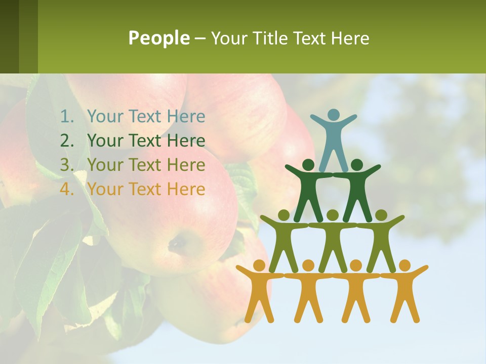 A Bunch Of Apples Hanging From A Tree PowerPoint Template