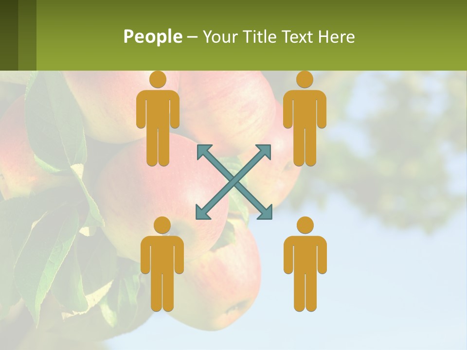 A Bunch Of Apples Hanging From A Tree PowerPoint Template