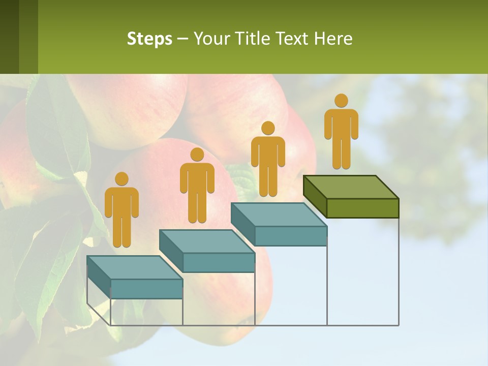 A Bunch Of Apples Hanging From A Tree PowerPoint Template