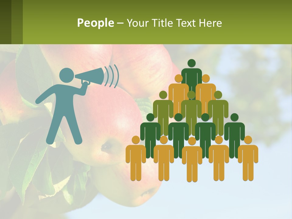 A Bunch Of Apples Hanging From A Tree PowerPoint Template